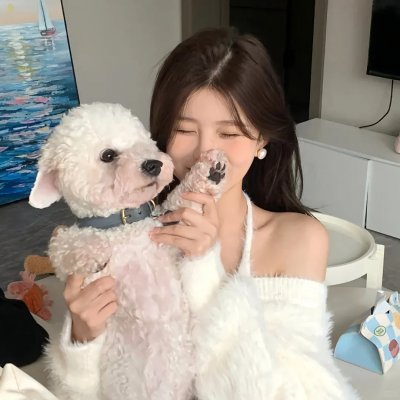 逍遥骑士